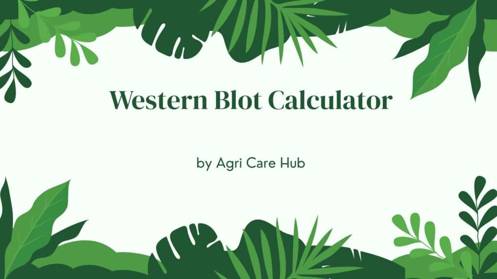 Western Blot Calculator