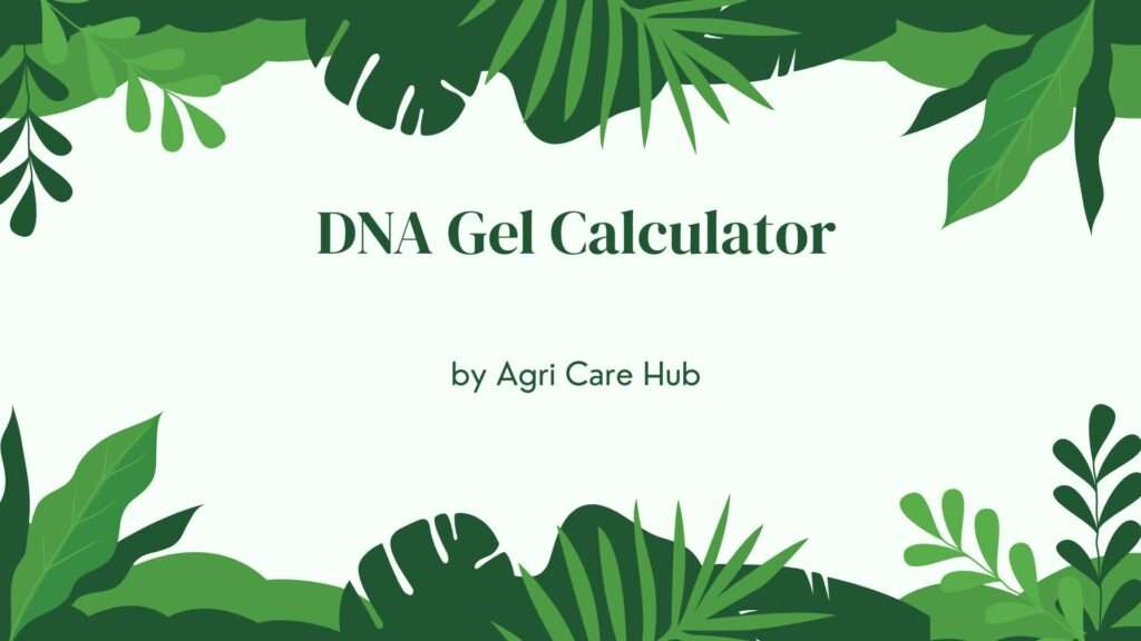 DNA Gel Calculator