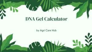 DNA Gel Calculator