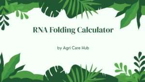 RNA Folding Calculator