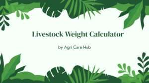 Livestock Weight Calculator