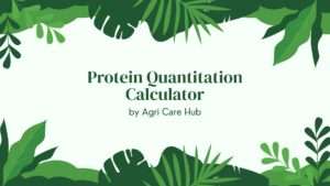 Protein Quantitation Calculator