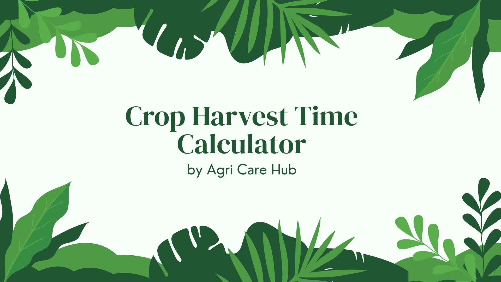 Crop Harvest Time Calculator for Accurate Yields