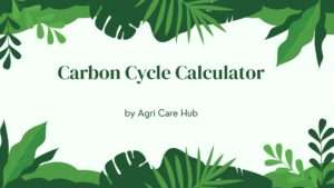 Carbon Cycle Calculator