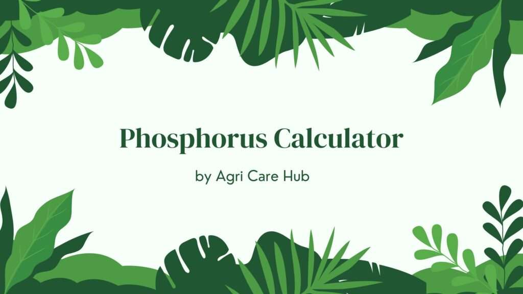Phosphorus Calculator