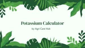 Potassium Calculator