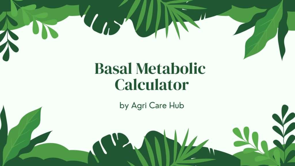 Basal Metabolic Calculator