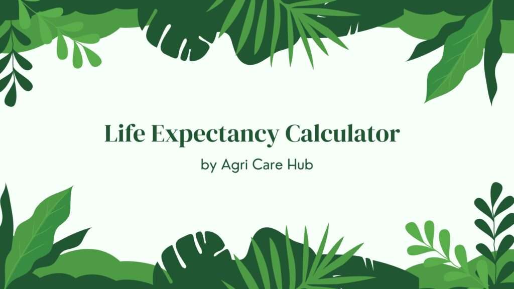 Life Expectancy Calculator