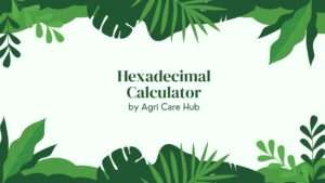 Hexadecimal Calculator