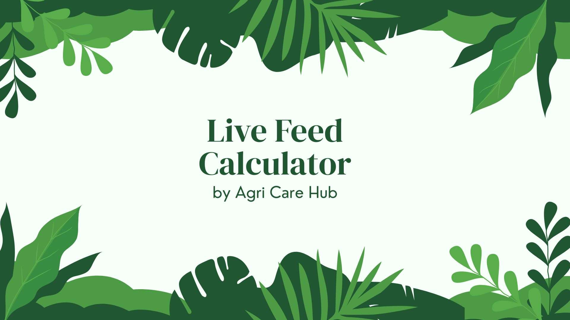 View of Live Feed Calculator - Precise Aquaculture Tool