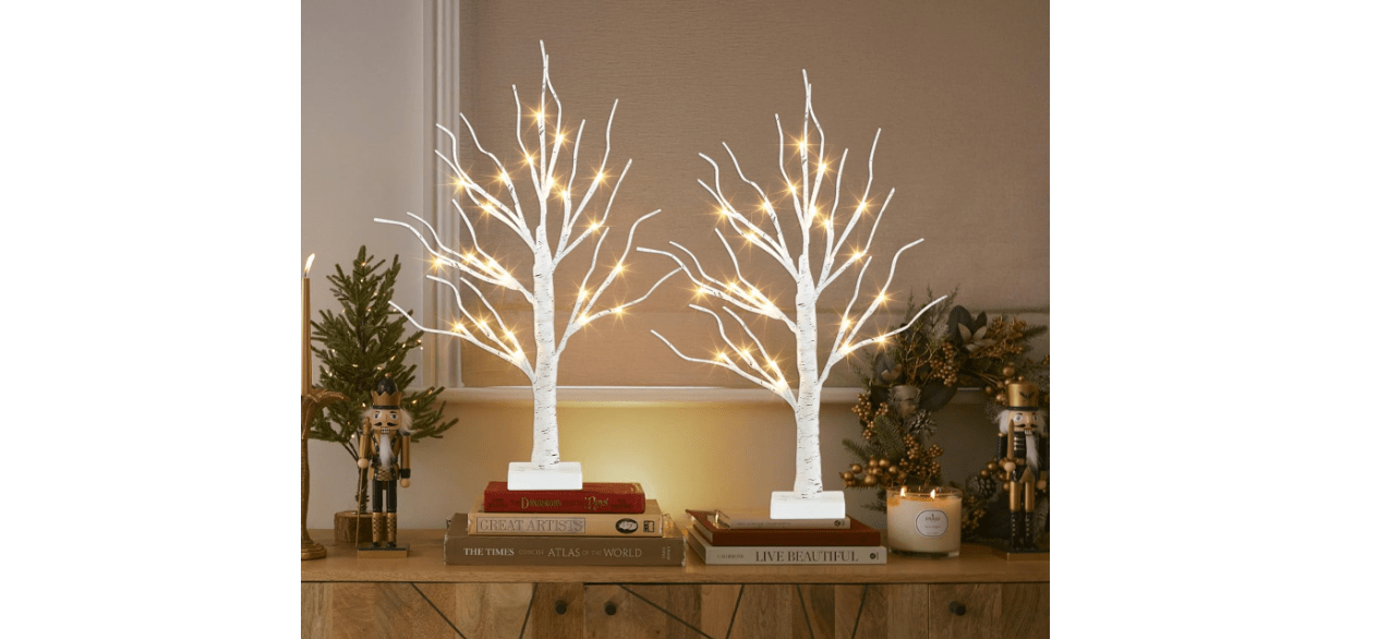 PEIDUO Christmas Decorations Indoor, 2 FT Birch Tree with LED Lights, Fairy Light Spirit Tree for Christmas Decor, Warm White Lighted Birch Trees for Home Decor Indoor, Battery Powered, Timer (2PK) 