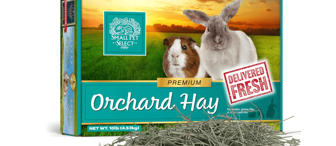 Small Pet Select Orchard Grass Hay Pet Food for Rabbits, Guinea Pigs, Chinchillas and Other Small Animals, Premium Natural Hay Grown in The US, 10 LB 