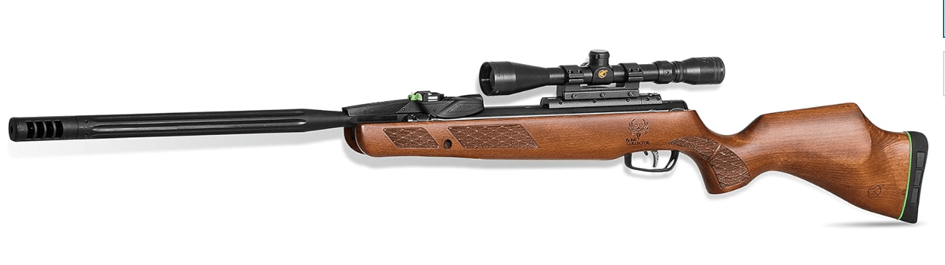 Gamo Swarm Bone Collector 10X GEN3i .22 Cal. 10 Pellet Multi-Shot Inertia Fed Pellet Air Rifle. 1100 fps. 