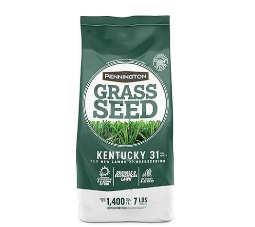 Pennington Kentucky 31 Tall Fescue Penkoted Grass Seed – 7 lb
