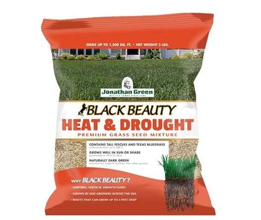 Jonathan Green Black Beauty Heat & Drought Resistant Grass Seed – 3 lb