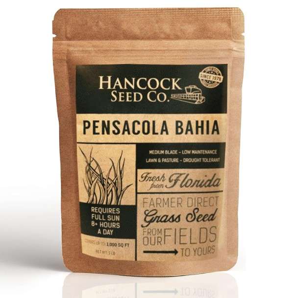 Hancock Raw Pensacola Bahia Grass Seeds – 5 lb