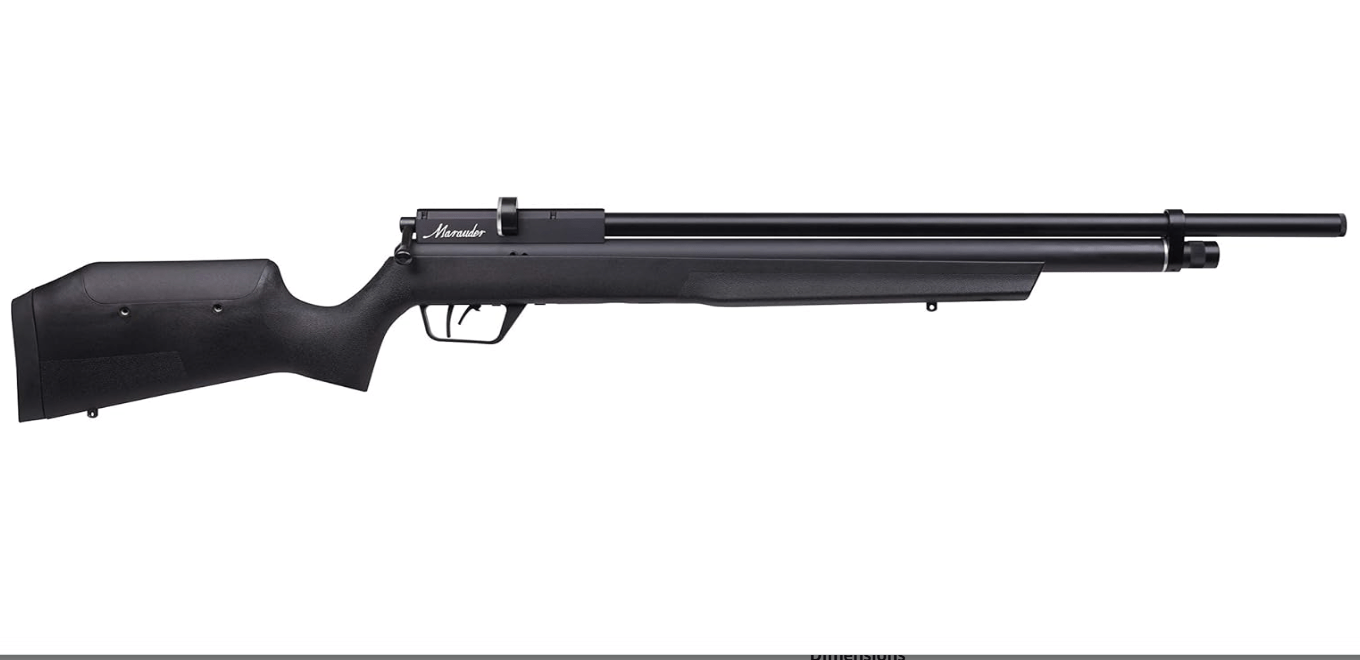 best pellet guns 