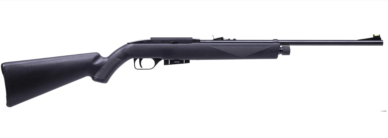 best pellet guns 