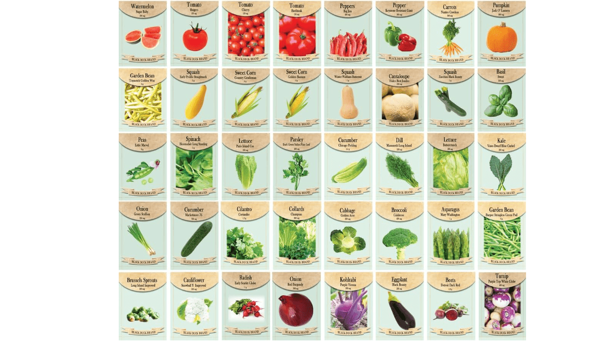Black Duck Brand Set of 43 Vegetable and Herb Seeds - Semi Assorted - 100 Percent Non-GMO & Heirloom - Great for Starting a Garden!
