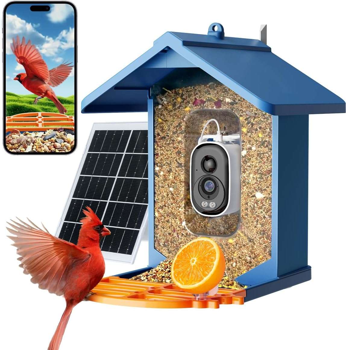 PawPeri Bird Feeder with Camera 2.5K HD Live Video, AI Bird Identifier, 5MP Photos, 7W Solar Powered & 4000mAh Battery for Wall/Mount/Hang (Blue)