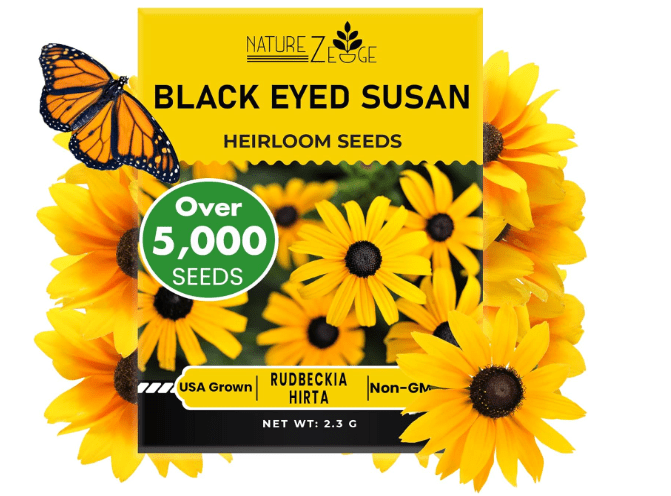 Black Eyed Susan Seeds for Planting, 5000 Seeds, Giving You Beautiful Black Eyed Susan Flowers, Non-GMO, Heirloom Seed Varieties