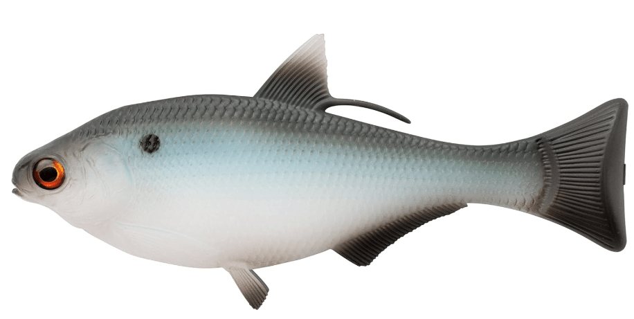13 Fishing - BAMF Shad - Soft Plastic Swimbaits