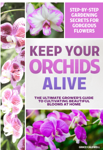 Keep Your Orchids Alive: The Grower’s Guide to Cultivating Beautiful Blooms at Home | Step-by-Step Gardening Secrets for Watering, Humidity, Temperature, Propagation & More