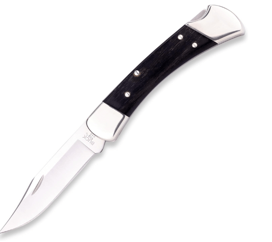 Buck Knives 110 Folding Hunter Knife, 3-3/4" Blade, Lockback Design, Ebony Handle, Silver Bolsters, 420HC Stainless Steel Clip Point Blade, Sheath Included, Hunting Knife Made in the USA, 7.2 oz