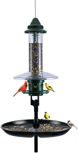 Squirrel Buster Plus Podium, Ultimate Squirrel-Proof Bird Feeding Station, Includes Plus Bird Feeder, Weather Guard, Pole Adaptor, BirdsUP Single Pole and Seed Catcher Tray