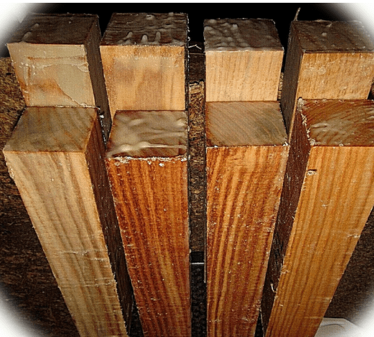 New Pack of Eight (8) Black Locust Turning Blanks Lumber Lathe Wood Blocks 2 Inch X 2 Inch X 11 Inch Enhance Crafts with Our Wood T3MonS00581