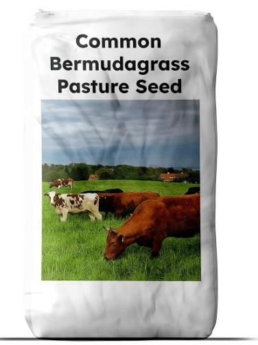 Outsidepride Forage Bermuda Seeds - 50 lb. Perennial, Drought Tolerant & Fast-Growing, Pasture Seeds for Planting Large Grass Leaves, Ideal for Hay Foraging & Rotational Grazing