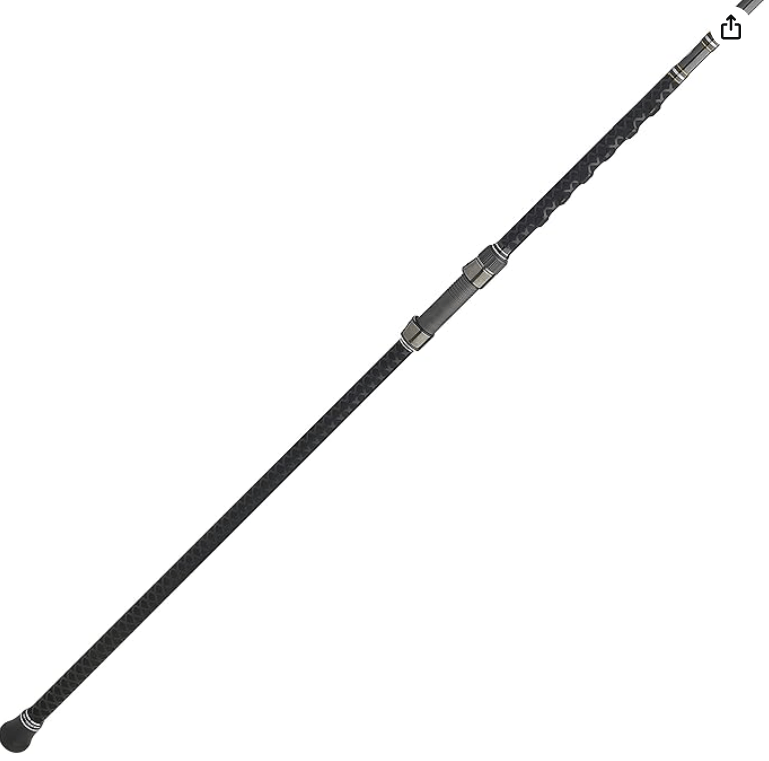 Penn Carnage III Surf Spinning Rod