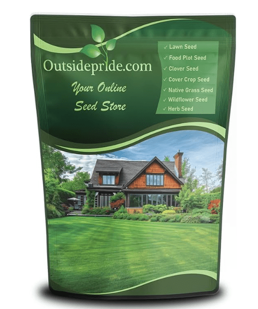 Outsidepride Midnight Kentucky Bluegrass Seed (Best Pure KBG)
