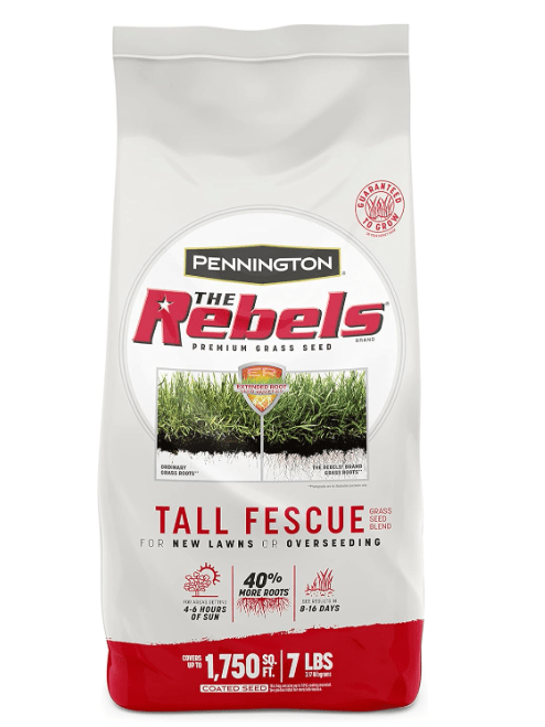 Pennington The Rebels Tall Fescue Grass Seed Mix (Best Value)