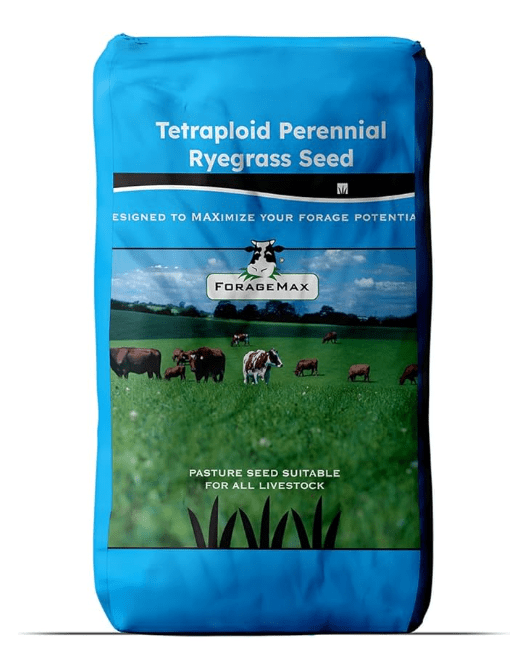 Outsidepride Perennial Ryegrass Seed (Best for Quick Germination)