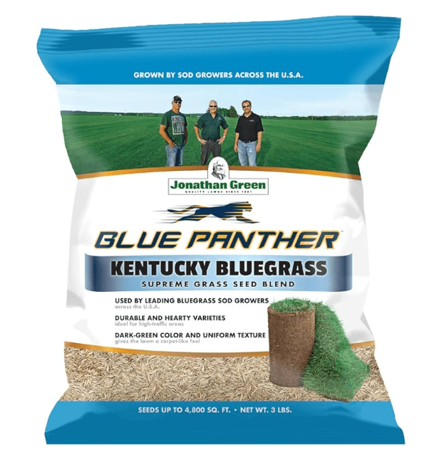 Jonathan Green Blue Panther Kentucky Bluegrass (Best for Full Sun)