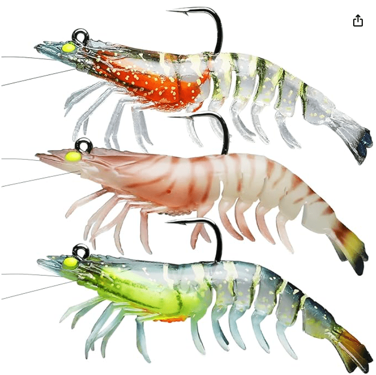 Live Shrimp