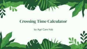 Crossing Time Calculator
