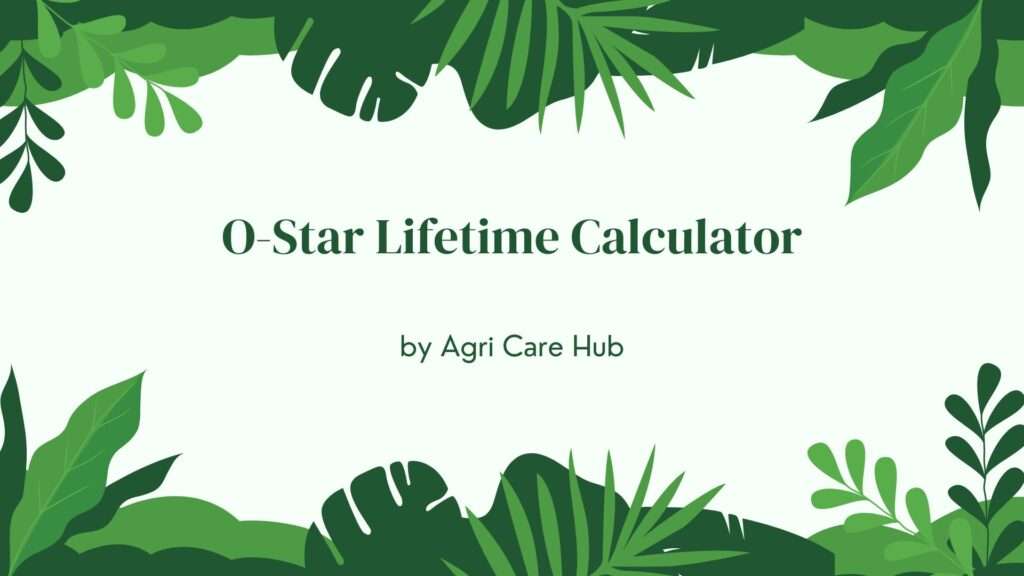 O-Star Lifetime Calculator
