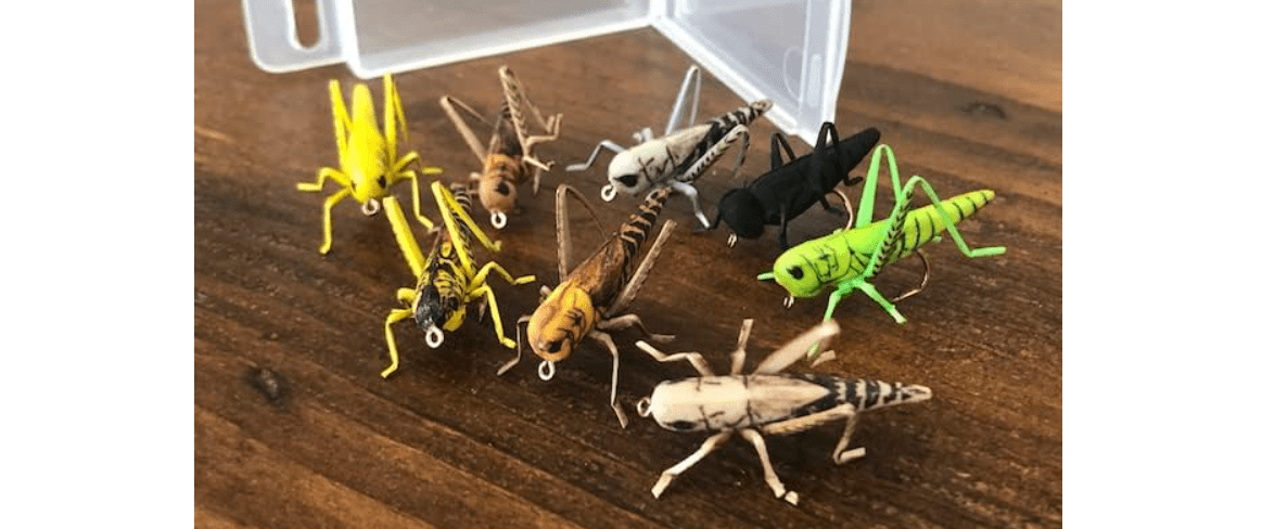 Ultra-Realistic Grasshopper & Cricket Fishing Flies Multi-Pack (8 Flies for Sizes 6 & 8, 7 Flies for Size 10) 