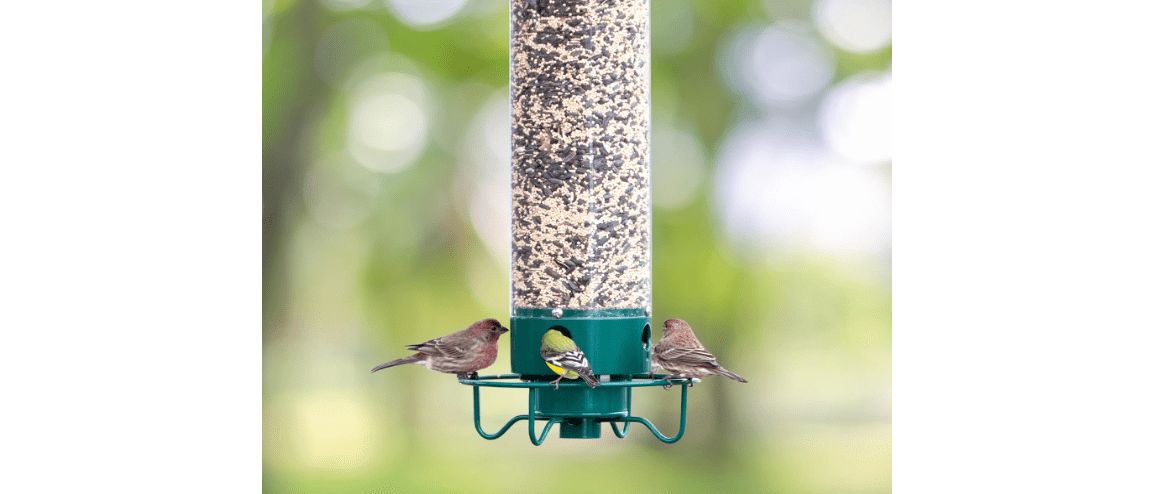 Droll Yankees Squirrel Proof Bird Feeders for Outdoors - Flipper, Collapsible Perches, 5-Pound Seed Capacity, Blue 