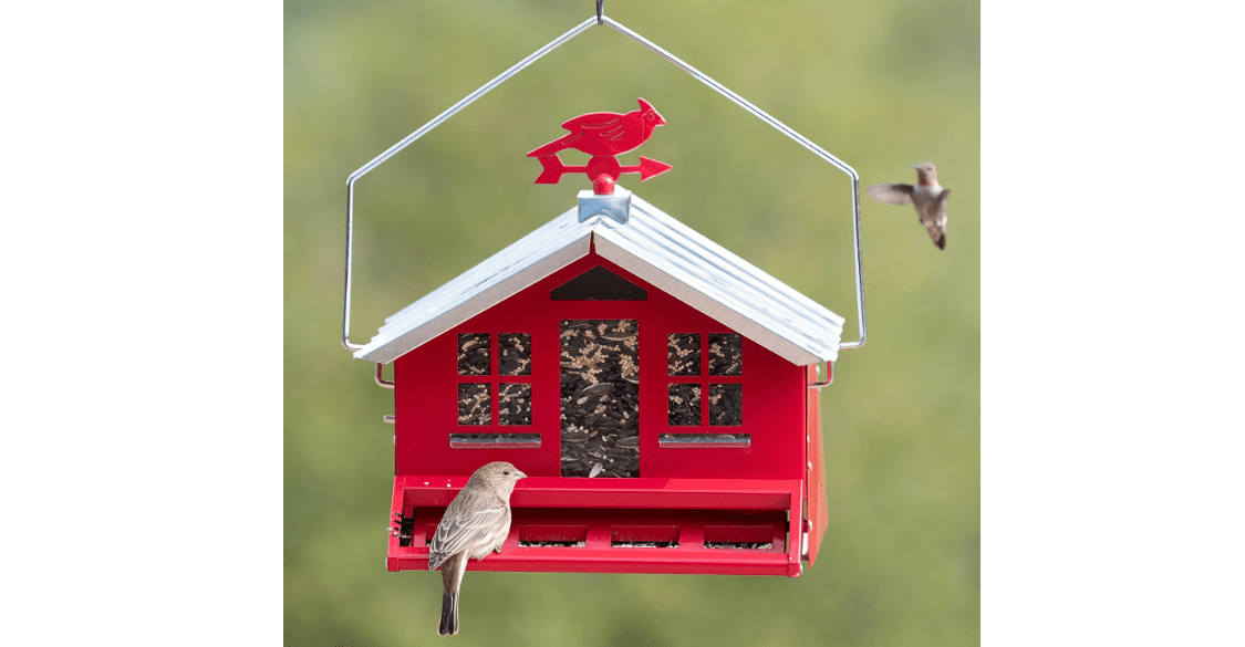 Perky-Pet 338 Squirrel-Be-Gone II Country House Bird Feeder with Weathervane, 8 lb, Red, 14W x 11.3D ins. 