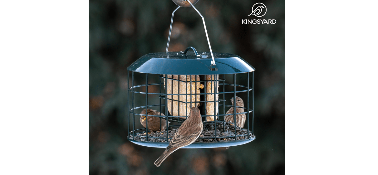 Kingsyard Squirrel Proof Suet Feeder, Cage Bird Feeders for Outdoors Hanging, All Metal, Double Suet Cake Capacity, Tray & Weatherproof, Green 