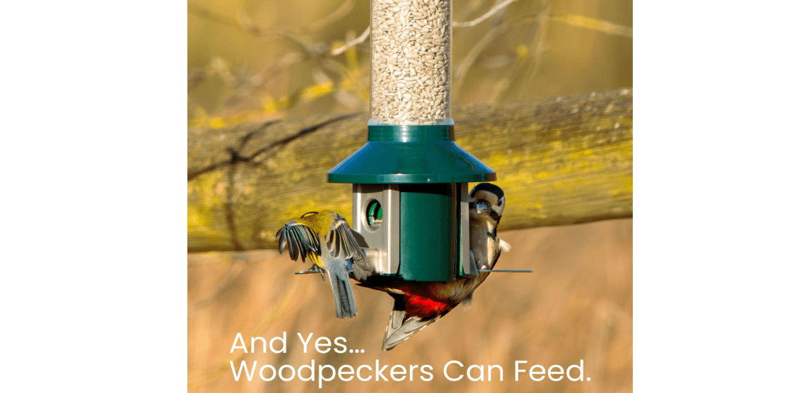 Roamwild PestOff 2.0 Squirrel Proof Wild Bird Feeder Mixed Seed Sunflower Heart Version - GREEN - HUGE 4LBS SEED CAPACITY – 26”x8”x8” (w/hanger) 