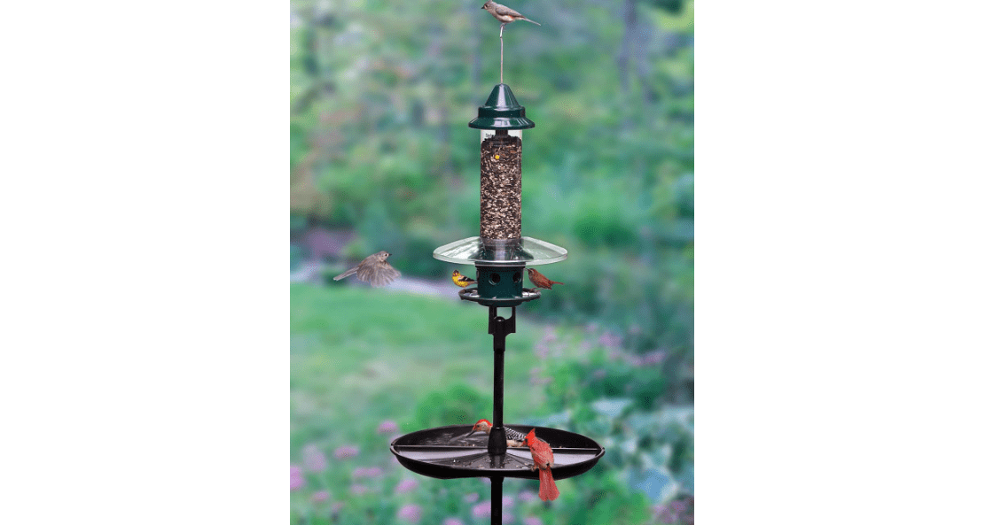 Squirrel Buster Plus Podium, Ultimate Squirrel-Proof Bird Feeding Station, Includes Plus Bird Feeder, Weather Guard, Pole Adaptor, BirdsUP Single Pole and Seed Catcher Tray 