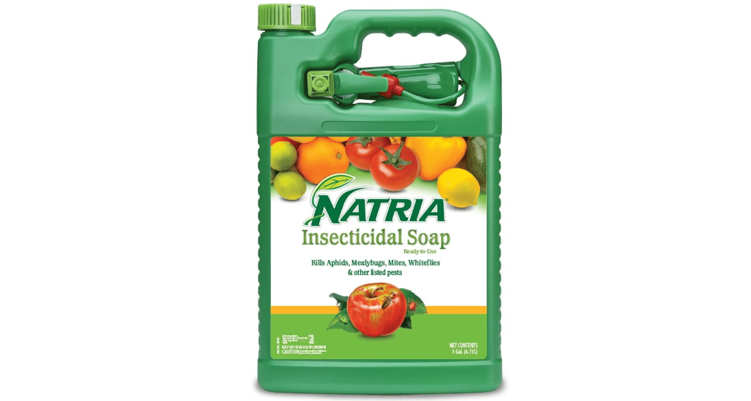Natria Insecticidal Soap, Ready-to-Use Garden Bug Treatment, Insect Killer for Indoor and Outdoor Plants, 1 Gallon 