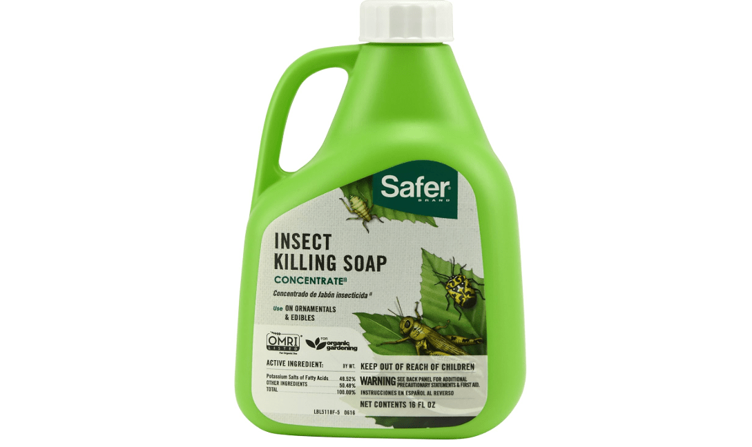 Safer 5118-6 Insect Killing Soap Concentrate - Insecticidal Soap for Plants - Kills Aphids, Whiteflies, Thrips, Spider Mites, and More - OMRI Listed for Organic Use - 6 Pack 