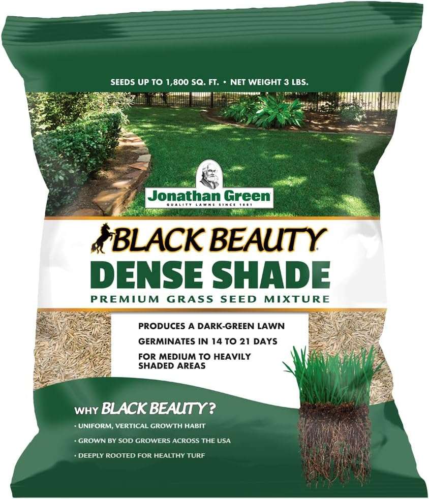Jonathan Green (10600) Black Beauty Dense Shade Grass Seed - Cool Season Lawn Seed (3 lb)