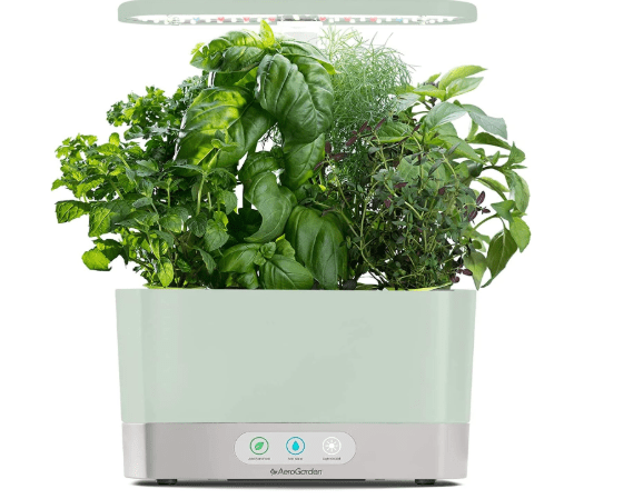 AeroGarden Harvest Indoor Garden Hydroponic System with LED Grow Light and Herb Kit, Holds up to 6 Pods, Sage