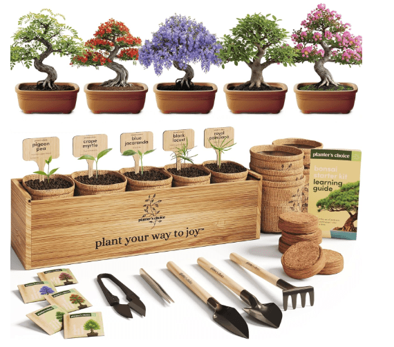 Planter's Choice Bonsai Tree Starter Kit - Unique Gifts for Women, Men - Christmas Gifts for Adults - Indoor Live House Plants - DIY Crafts for Adults Craft Kits - Hobby Gift for Gardening Lovers
